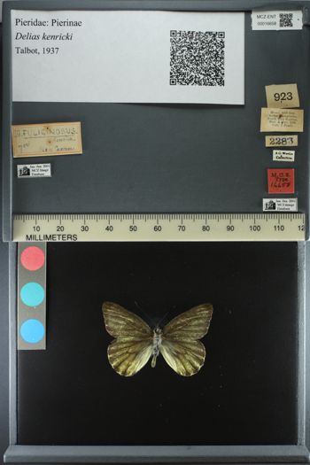 Media type: image;   Entomology 16658